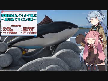 琴葉姉妹とバイクで遊ぶ～コメント返信回～
