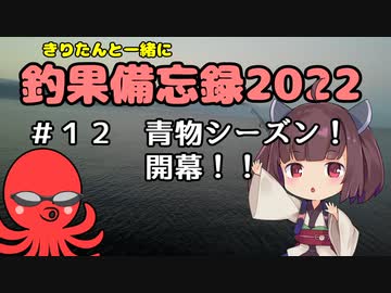 きりたんと一緒に釣果備忘録2022　＃１２　青物シーズン開幕！？