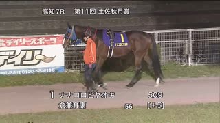 第11回土佐秋月賞 パドック～本馬場入場