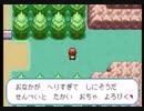 【復刻転載】改造ポケモンを作ってみた　 10年後の世界 　part3