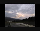 交通犬