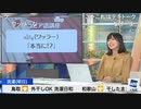 【檜山沙耶】アラビア語の「ワッラー」を気に入ったおさや