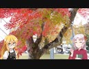 【お城紹介】Part8-1.日本100名城 074.岩国城（紅葉）