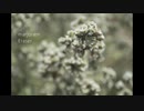 Eraser - marjoram【Melancholic Hardcore】