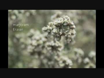 Eraser - marjoram【Melancholic Hardcore】