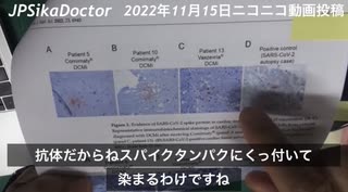 【短縮版】鹿先生「病理解剖で内臓に免疫染色を掛ければ、スパイクタンパクの陽性反応で、死因がmRNAワクチンであることが判明するところまでもう来ている。」@kinoshitayakuhi