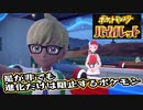 【ポケットモンスター】ソウルシルバーを途中でやめたボクが最新作遊ぶ！ 第2回