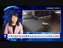 中国の建材・住宅設備販売店10月はコロナの影響で4割減