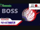 【terraria】【for theworthy】あれ？強くね？(取り巻きが)│調強テラリア＃5