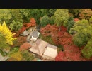 【映像美】つつじ寺の愛称で親しまれる大興善寺、山の斜面を彩る“赤”と“緑”