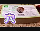 ハムスター【穴にはまる】