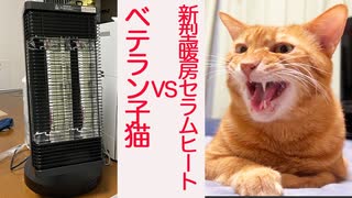 対決！新型暖房セラムヒートvs生後4週2550日のベテラン子猫