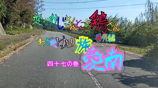 変なおじさんとこの　鶏さん番外編　ゆらり旅愛南　四十七の巻　あいなんの車窓２０　中玉海岸から　脇本の防波堤堤防