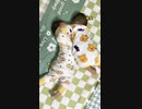 Twins Daily、How are the twins?