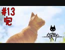 別れと未来【Stray】#13 完