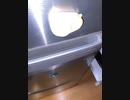 たまごのプッチン穴あけ器 を DAISO で買ってきた