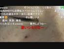 ニンポー（千代豊和）つら