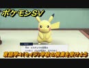 ポケモンＳＶ　言語学４（セイジ）学校の授業を受けよう！ポケモンの知識を高めよう！　＃１１３　【スカーレット・バイオレット】