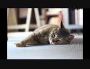 【NNIオリジナル】How Do You Live ?