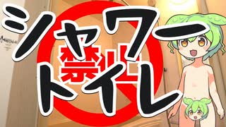 【ずんだもん劇場】シャワートイレの危険性を教えてくれるずんだもん
