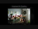 Eco-Friendly Vases