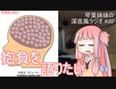 琴葉姉妹の深夜風ラジオ/#30 「節目に抱負を語りたがる琴葉姉妹」