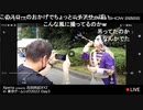 Xperia公式生放送 in 東京ゲームショウ2022 Day3(9/17)【TGS2022】コメ有アーカイブ(4)