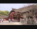 太宰府天満宮「御本殿」１２４年ぶりに改修、３年かけて漆を塗り替え～福岡