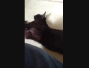 VID_20211031_123755