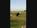 これが下品な言葉の結菓です-Goodbear③