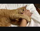 意地でも離さにゃい