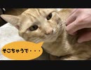 注文の多いマッサージ店