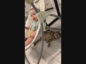 ホモと見るゆりかごを揺らす猫