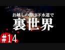 最恐と名高い伝説のフリーホラーゲームを実況プレイ#14【隣の異界】