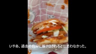 【ケバブ風チキンバーガー】クソガリ、デブ活に励む＃14【マクドナルド】