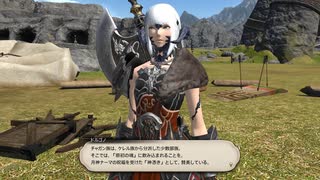 カッパのFF14生活286　オメを追って
