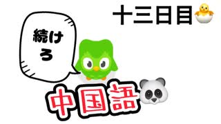 【Duolingo】第十三回 100日後に中国語ペラペラになる編　十三日目