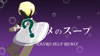 ウミガメノスープ　HAIIRO SELF REMIX