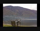 【NNIオリジナル】Handcart