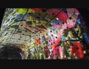 【NNIオリジナル】Color Universe