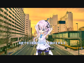 フィーちゃんと渋滞？