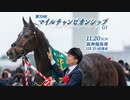 【中央競馬】プロ馬券師よっさんの第39回 マイルチャンピオンシップ（GⅠ）