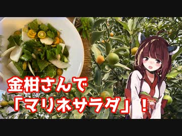 【思い切って野草を食べてみよう】#94 金柑さんで「マリネサラダ」！