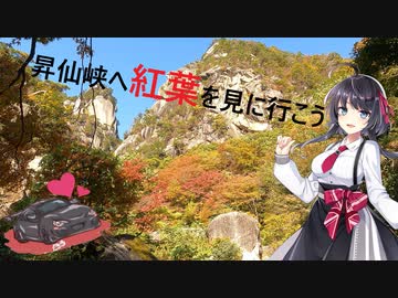【VoiceVox車載】ミニとドライブしようpart5【紅葉を見に山梨の昇仙峡へ】