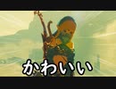 女の子になっちゃう！.botw5