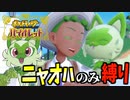 ニャオハを絶対に立たせない漢【ポケモンSV】#1