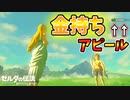 ルピーカンスト表示バグはいつまで続く？【ブレワイ BotW】裏技 バグ 検証 ゆっくり実況 glitch