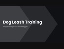 Dog Leash Training Important Tips You Should Apply