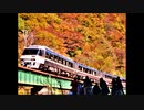 【のら】高山本線を走行するキハ85 その30　錦秋の南飛騨