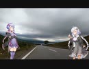 【自転車車載】あかりちゃんをサイクリングに連れ出しました 14回目